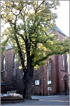 St. Martinskirche, Kaiserslautern